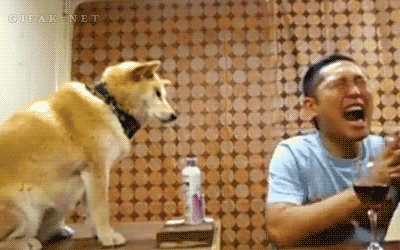 1429187481_hund_deo.gif