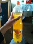 STAARDRINK Orange