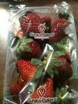Produkt 8400048033503