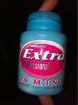 EXTRA PROF. MINTS WALDFR. DOSE 70ST
