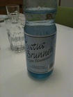 Justus-Brunnen spritzig MW PET