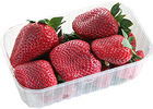 Frische Erdbeeren,
