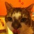 Profilbild von Neo zu einer Bewertung am 22. Jul 2011
