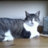 Profilbild von LucyWF zu einer Bewertung am 21. Mär 2012