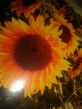 Profilbild von Anna<3 zu einer Bewertung am 22. Jan 2012