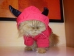 Profilbild von zerocool zu einer Bewertung am  9. Apr 2012
