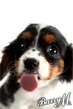 Profilbild von Cookie zu einer Bewertung am 20. Apr 2012