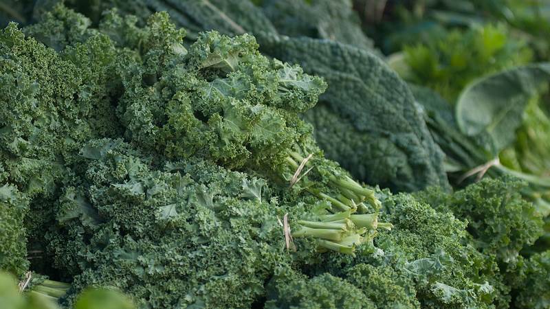 lebensmittel mit vitamin k