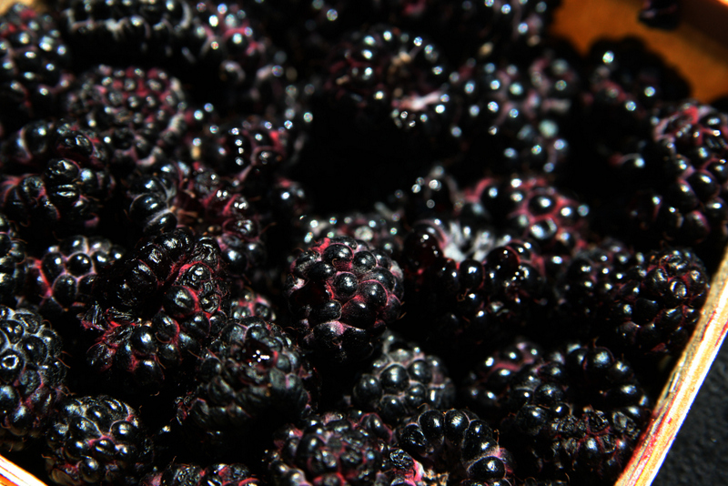 schwarze lebensmittel