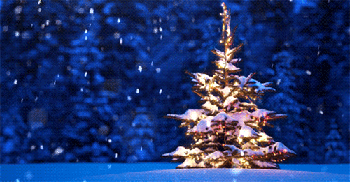 alternativen zum weihnachtsbaum alternativen zum weihnachtsbaum